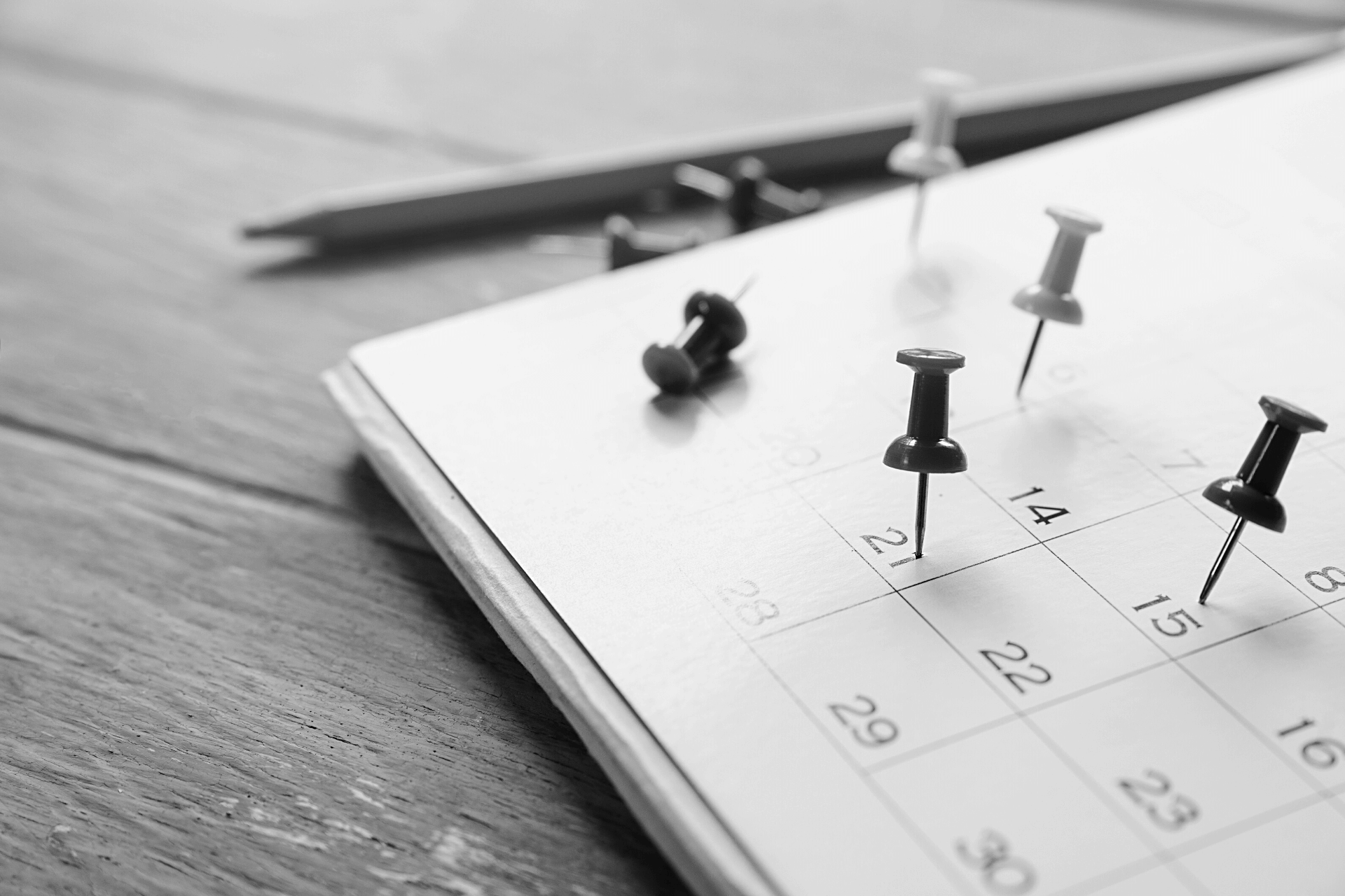 Find The Best Booking System Online With Our Top 3 Comparison 